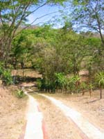 vue du chemin